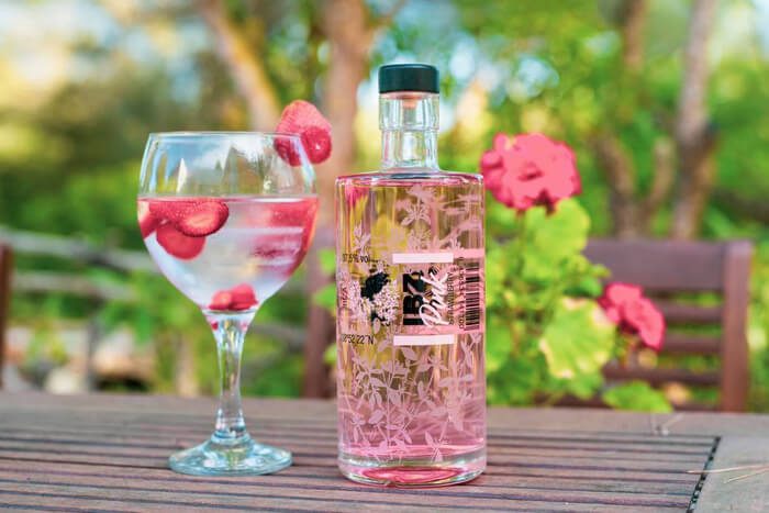 IBZ Pink Strawberry Gin Familia Marí Mayans